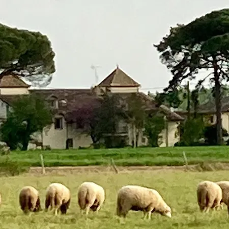 Villa Domaine De Ménerque - Petit Château Avec Piscine Lisle-sur-Tarn