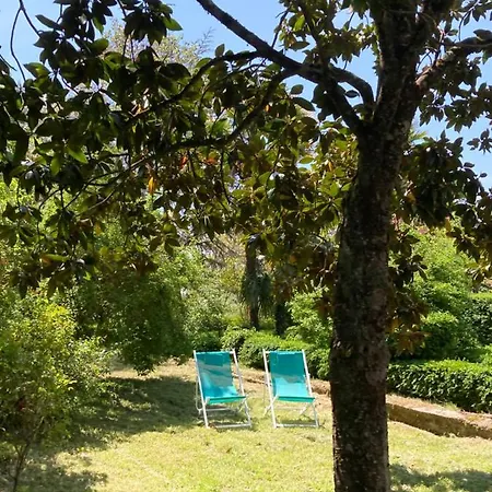 Domaine De Menerque - Petit Chateau Avec Piscine Lisle-sur-Tarn