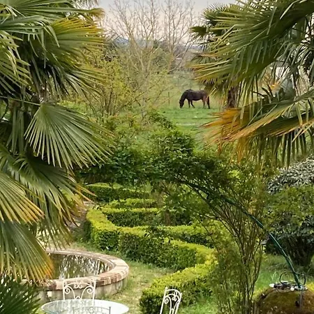 Domaine De Menerque - Petit Chateau Avec Piscine Lisle-sur-Tarn